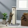 PawHut draskyklė 81 cm aukščio draskyklė iš sizalio su kamuoliuku, idealiai tinka katėms iki 5kg, skirta naudoti patalpose, pilkos ir kreminės spalvos