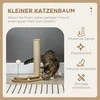 PawHut draskyklė katėms, 40 cm, su mediniu kamuoliuku ir besisukančiu disku, natūrali