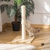 "PawHut" draskyklė sizalio draskyklė katėms, stabili, su kamuoliuku, 60 cm, medžio drožlių plokštė, smėlio ir ąžuolo spalvos