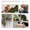 "PawHut" draskyklė sizalio draskyklė katėms, stabili, su kamuoliuku, 60 cm, medžio drožlių plokštė, smėlio ir ąžuolo spalvos