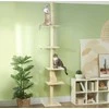 "PawHut" draskyklė su aukštomis lubomis, kačių medis, 225-275 cm kačių draskyklė su platformomis, kačių baldai su apsauga nuo palinkimo, kreminės baltos spalvos