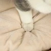 PawHut draskyklė-namelis, 50 cm aukščio katėms su 2 olomis, draskyklė su pagalvėlėmis, kačių bokštas iš vandens hiacinto, katėms iki 3,5kg, šviesiai ruda