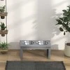 "PawHut" dubuo šunims su 2 dubenėliais, 2 l talpos maisto dubuo, paaukštintas kačių maisto dubuo, lengvai prižiūrimas, nerūdijančio plieno pilkos spalvos, 58,4 x 30,5 x 25,4 cm