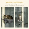 "PawHut" kačių draskyklė 230-250 cm aukščio, su hamaku, reguliuojamo aukščio, pilka+kreminė balta