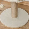 Pawhut Kačių draskyklė su žaidimų kamuoliuku 49 cm