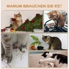 PawHut kačių laipynių rinkinys ant sienos, 5 dalių kačių baldai su draskykle, šokinėjimo platformomis, kopėčiomis, nameliu, sienine konstrukcija, katėms iki 5kg, pliušinis, smėlio spalvos