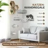 "PawHut" kačių laipiojimo sienelių rinkinys, 4 dalių kačių baldai su laipteliais, kopėčiomis, šokinėjimo bokšteliais, draskyklėmis, žaidimų kamuoliuku, sizalis, skirti katėms iki 5kg, šviesiai pilkos spalvos