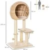 "PawHut" kačių medis, draskymo stovas, kačių baldai su urvu, kamuoliukas-žaislas, sizalis, minkštas pliušas, smėlio spalvos, aukštis 100 cm