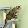 "PawHut" kačių medis kampinis draskymo stendas žaidimų medis kačių draskymo stendas kačių laipiojimo medis šviesiai pilkas 200 cm