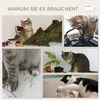 PawHut 4 dalių katės laipiojimo sienelė, laipynė katėms su katės laipteliais, hamaku, šokinėjimo platforma, sieninis draskyklė, sieniniai baldai katėms, iki 5kg | Aosom
