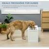 Pawhut Paaukštintas dubuo šunims, 2 x 2 litrų nuimamas nerūdijančio plieno dubuo šunims