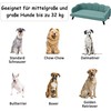 Pawhut Paaukštintas šuns guolis, augintių sofa - žalia, 98,5x60,5x35,5 cm