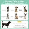 PawHut paaukštinta šunų lova su stogeliu, gultas augintiniams, lauko gultas šunims su stogu, kvėpuojantis, mini ir mažų veislių šunims, šviesiai pilkas, Oksfordo audinys, 61 x 46 x 63 cm
