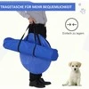 PawHut Agility treniruočių rinkinys šunims: slalomas, kliūtys, tunelis, PE+poliesteris, mėlyna/geltona