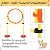 Pawhut Šunų dresavimo rinkinys "3-in-1", skirtas agility treniruotėms