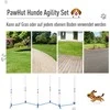 Pawhut Šunų slalomo lazdos, Agility treniruočių įranga 305 x 60 x 94 cm
