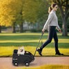 PawHut Šunų vežimėlis, sulankstomas šunų vežimukas mažiesiems šunims iki 4kg, sulankstomas kačių vežimėlis su rankena, plaunama pagalvėle, saugos dirželiais, daiktų kišene, 4 ratai, juodas