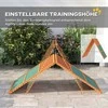 PawHut šunų agility tiltelis, šunų agility įranga su sulankstomu tiltu, neslystančiu paviršiumi, reguliuojamo aukščio, sodui, 173 x 59 x 66 cm, oranžinė