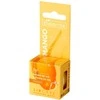 Bielenda Lip Care, 10 g