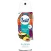 Sausas oro gaiviklis BRAIT Zanzibar Vibes 300ml