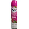 Oro gaiviklis Brait Oriental Garden 300ml