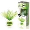 Aromatinių žiedlapių puokštė Brait Žalias Diamond 50ml