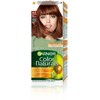 Garnier Color Naturals 4.5 Chestnut Brown