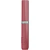 L'Oreal Paris Infaillible Laque Resistance 220 Paris Sunset, 4.3 ml