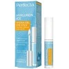 L'Oreal Perfecta Hyaluron Ice, 11 g