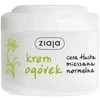 Ziaja Cucumber Day Kreminis, 100 ml