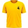 KS Lietuva Futbolas Marškinėliai (vėliavėlė ant nugaros), Dydis: M