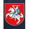 KS Vaikiškas Džemperis Vytis Lietuva, Dydis: 4 metai