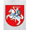 KS Vaikiškas Džemperis Vytis Lietuva, Dydis: 14 metų