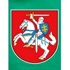 KS Vaikiškas Džemperis Vytis Lietuva, Dydis: 8 metai