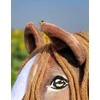 Super Hobby Horse Žaislinis arkliukas vaikams rudas su lazdele