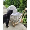 My Sweet Baby Lėlių vežimėlis pintas baltas su medinėmis detalėmis DeCuevas