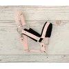 Super Hobby Horse Hobio žirgo kantaras ir pavadis – juoda / rožinė