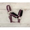 Super Hobby Horse Hobio žirgo kantaras su juoda kailine apdaila ir pavadžiu