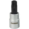 1/4" galvutė su Torx antgaliu PROXXON TX8