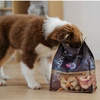 Šunų maistas - ADDVENA Junior Medium/Large jautiena 28.1% Protein Grain-Free 10kg