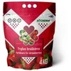 Agrochema Trąšos braškėms ir žemuogėms, 4kg