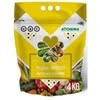 Agrochema Trąšos VASARA, 4kg