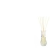 Air Wick kvapiosios lazdelės Paslaptingas sodas 30ml