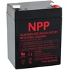 Akumuliatorius 12V 2.9Ah T1(F1) Pb AGM NPP