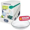 ANIMAL ISLAND Everyday Baltas fish in broth Box – šlapias kačių maistas – 12x85g + lėkštutė dovanų