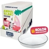 ANIMAL ISLAND Everyday jautiena in broth Box – šlapias kačių maistas – 12x85g + lėkštutė dovanų