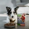 ANIMAL ISLAND Everyday Monoprotein Veal – drėgnas ėdalas šunims – 300g