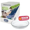 ANIMAL ISLAND Everyday Veal and rabbit in broth Box – šlapias kačių maistas – 12x85g + lėkštutė dovanų