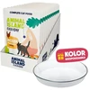 ANIMAL ISLAND Everyday vištiena in broth Box – šlapias kačių maistas – 12x85g + lėkštutė dovanų