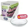 ANIMAL ISLAND Everyday vištiena su ėriena in broth Box – šlapias kačių maistas – 12x85g + lėkštutė dovanų